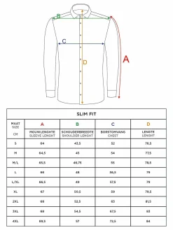 Lance Solid Light Blue Overhemd Lange Mouw