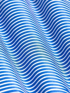 Nancy Royal Blue Striped Overhemd Lange Mouw