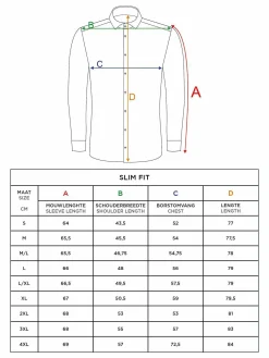 Romney Solid Light Blue Overhemd Lange Mouw