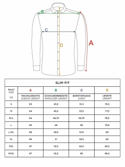 Sky Lake Blue Micro Patterned Long Sleeve Shirt