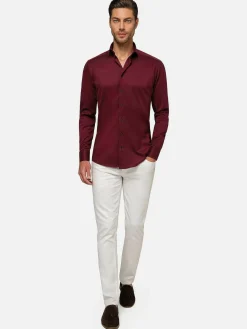 Tempesta Plain Cotton Purple Overhemd Lange Mouw